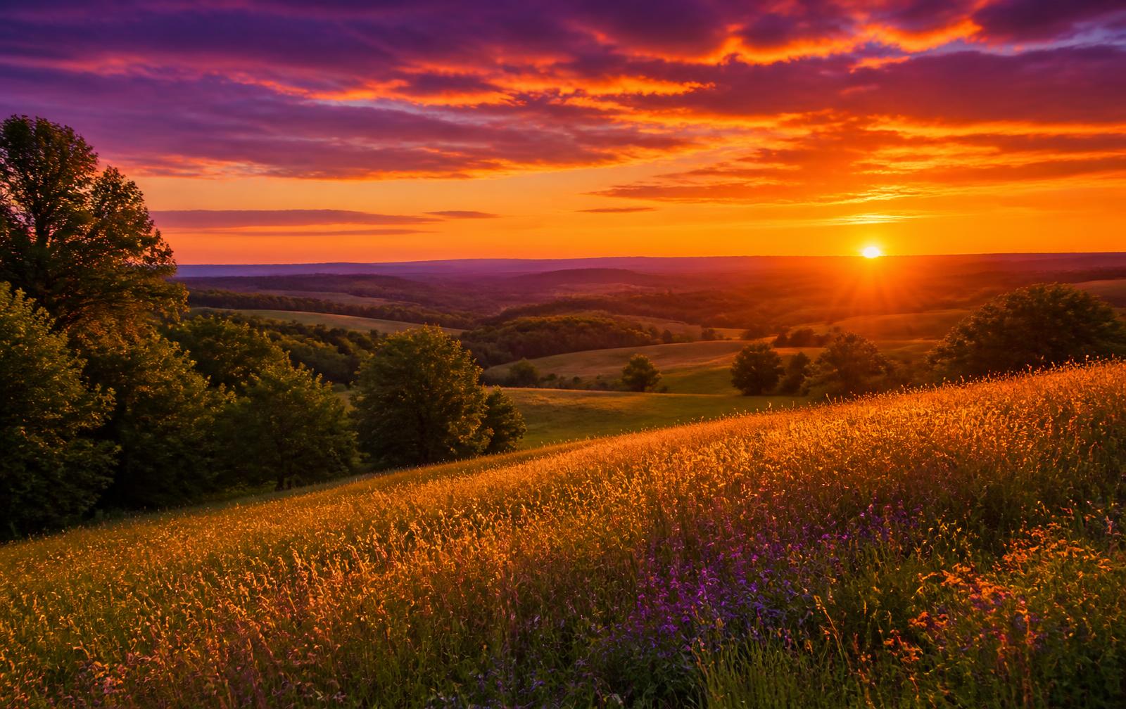 Sunset over rolling Northern Virginia countryside